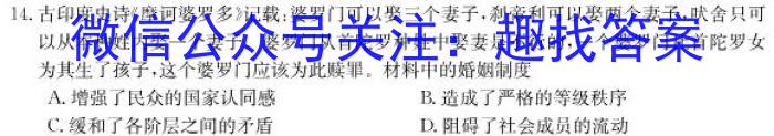 河南省2022-2023学年普通高中高一下学期期中教学质量检测历史