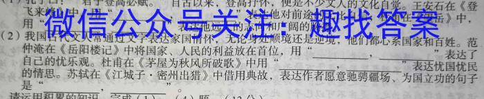 2023年商洛市第二次高考模拟检测试卷(23-390C)语文