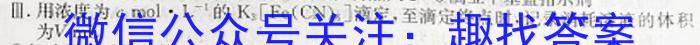 陕西省2023年九年级中考模拟卷4月联考化学