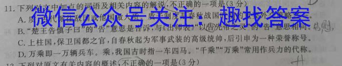 安徽省芜湖市无为市2022-2023学年九年级中考模拟检测（一）语文