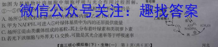 佩佩教育·2023年普通高校统一招生考试 湖南四大名校名师团队猜题卷生物试卷答案