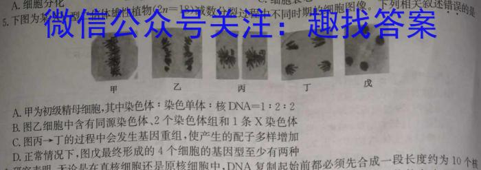 2023年普通高等学校招生伯乐马模拟考试(六)生物