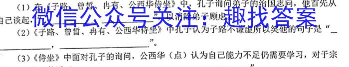 2023年安徽省初中毕业学业考试模拟仿真试卷(二)语文