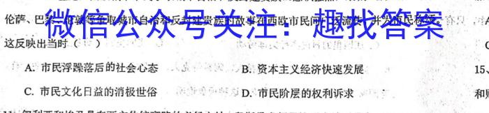 安徽省2024届八年级下学期教学质量检测（六）历史