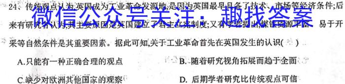 江西省乐平市2024-2023学年度九年级下学期期中学业评价历史