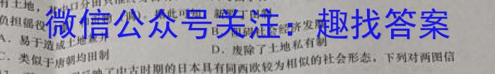 师大名师金卷2023年陕西省初中学业水平考试（五）历史
