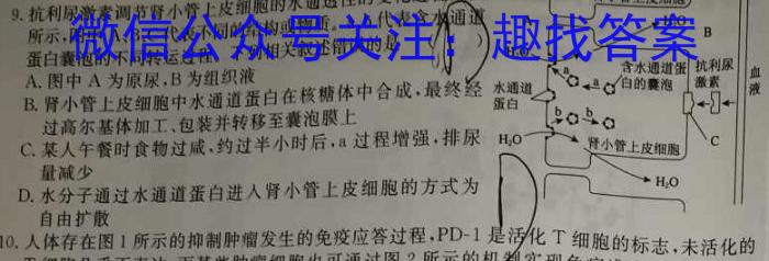 湖南省益阳市2023届高三4月教学质量检测生物