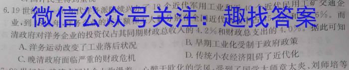 2023年普通高等学校招生全国统一考试 高考模拟试卷(二)历史