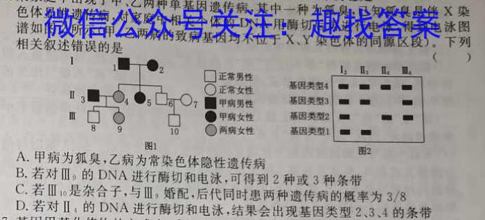 2025届湖南大联考高一年级4月联考（005A·HUN）生物