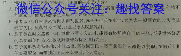 黑白卷 2023年普通高等学校招生全国统一考试(黑卷)语文