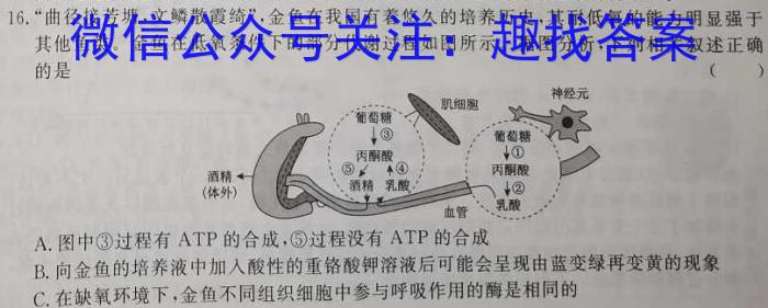 衡水金卷广东省2023届高三年级4月份大联考生物