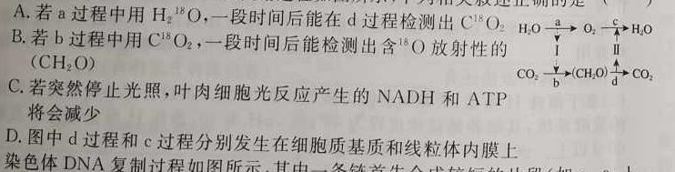 2023年陕西省初中学业水平考试·全真模拟（六）生物