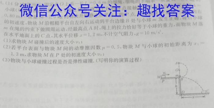 沧衡八校联盟高一年级2022~2023学年下学期期中考试(23-387A)f物理