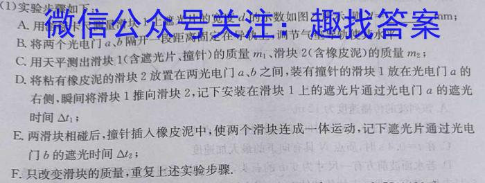 湖南省部分学校2023年4月高三模拟考试f物理