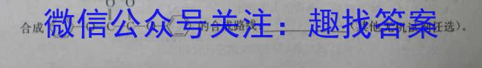 2024-2023学年中原名校中考联盟测评(二)化学