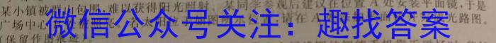 山西省2022-2023学年度八年级下学期期中综合评估（6LR）物理`