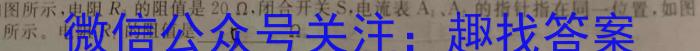 2023年湖南省普通高中学业水平合格性考试仿真试卷(专家版四)z物理