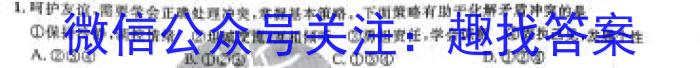 天一大联考·安徽卓越县中联盟 2022-2023学年(下)高二阶段性测试(期中)s地理