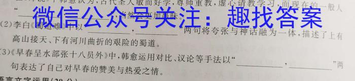 江西省九江市2023年初中学业水平考试复习试卷（三）语文
