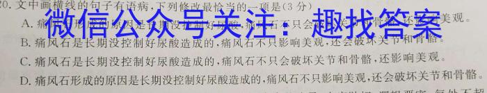 金考卷·2023年普通高招全国统一考试临考预测押题密卷(新)语文