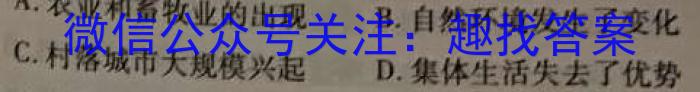 炎德英才 名校联考联合体2023年春季高二第二次联考(4月)历史