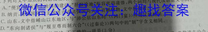 2023年高二年级九师联盟湖北省期中考试语文