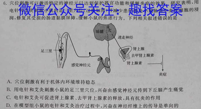 强基路985天机密卷 2023年普通高等学校统一招生模拟考试(新高考全国Ⅰ卷)(四)4生物