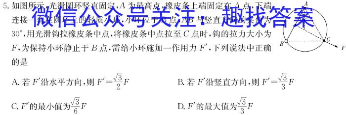 考前信息卷·第七辑 砺剑·2023相约高考 名师考前猜题卷(四).物理