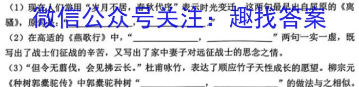 江西省2025届七年级第七次阶段性测试(R-PGZX A JX)语文