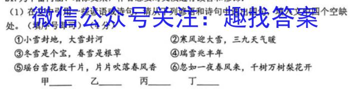 2023年普通高等学校招生全国统一考试信息模拟测试卷(新高考)(四)语文