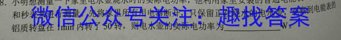 2023年普通高等学校招生全国统一考试·临门一卷(二)物理.