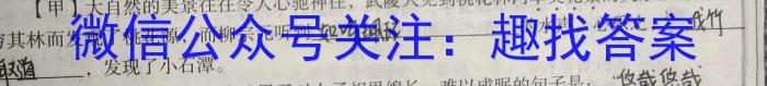 2023届湖南高三5月联考语文