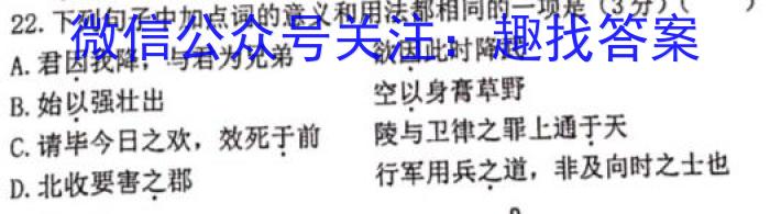 2023届全国百万联考老高考高三5月联考(5003C)语文