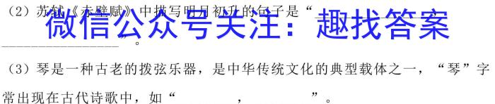 河南省驻马店市2022-2023学年度第二学期期中学业水平测试试卷语文