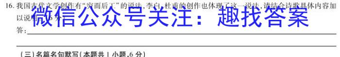 2023年湖北大联考高三年级5月联考（517C·HUB）语文