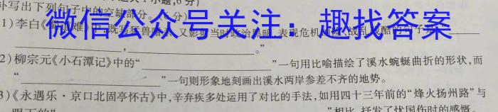 安徽省颍上县2023届九年级教学质量检测（5月）语文