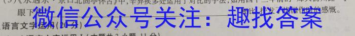 2023届新疆维吾尔自治区普通高考第三次适应性检测语文