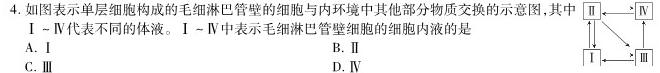2023年4月山东省新高考联合模拟考试(4月)生物