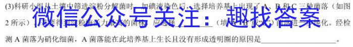 2023年锦州市普通高中高三质量检测生物