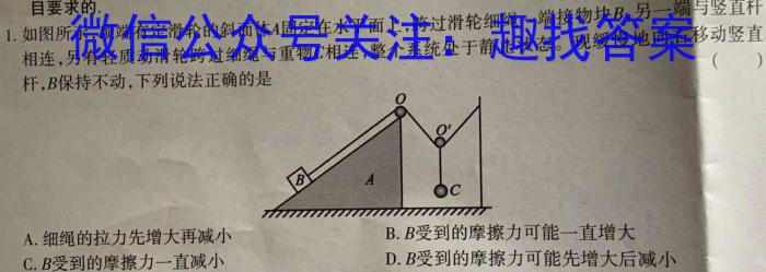 龙岩市2023高中毕业班五月教学质量检测物理.