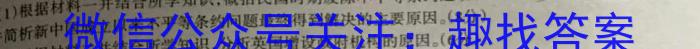 2023届陕西省九年级教学质量检测(正方形包黑色菱形)历史试卷