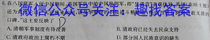 天一大联考 顶尖计划2023届高中毕业班第四次考试历史