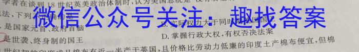 2023年辽宁大联考高三年级5月联考（578C·LN）历史