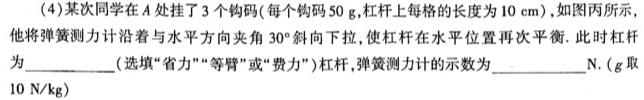 河北省2022-2023学年第二学期高二年级期中考试(23554B)-物理