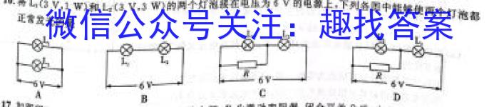 安徽省2022-2023学年度八年级阶段诊断【PGZX F-AH（七）】物理.