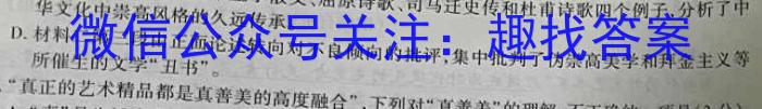 2023年湖南省普通高中学业水平合格性考试仿真试卷(专家版四)语文