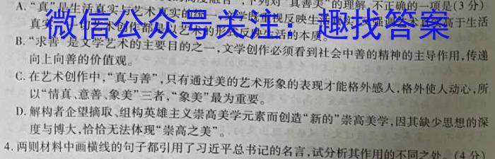 2023年中考密卷·临考模拟卷（三）语文