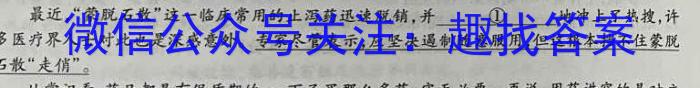 2023年陕西省初中学业水平考试·冲刺压轴模拟卷（三）语文