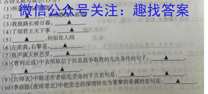 2024~2023学年高二下学期期中联合考试(23-411B)语文