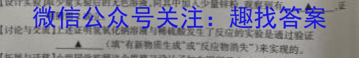 陕西省2023年九年级教学质量检测（正方形套黑色菱形）化学